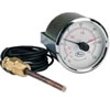 temperature gauges bimetal thermometers digital rtds