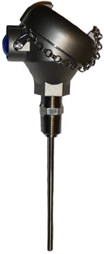 bearing temperature-sensor spring loaded oil seal rtds