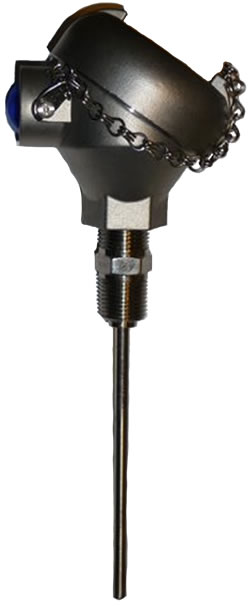 bearing temperature-sensor spring loaded oil seal rtds